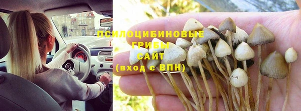 твердый Пересвет